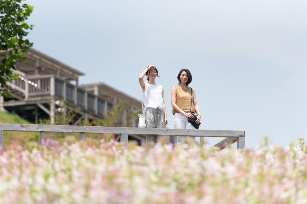 写真：花畑を眺める女性2人